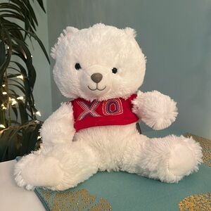 Stuffed Animal Valentine’s Day XO Bear BRAND NEW